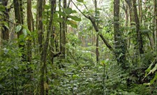 Costa Rica Environmental Protection