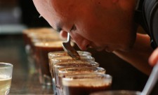 coffee cupping in costa rica