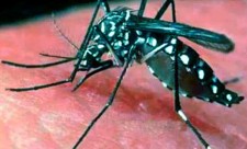 Costa Rica Dengue Vaccine
