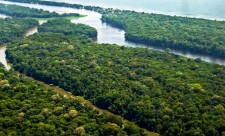 Tortuguero National Park Costa Rica Contamination