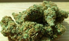 Costa Rica Marijuana