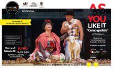 As you Like it Shakespeare Costa Rica