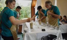 Costa Rica Best Coffee