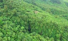 One Day Tour Monte Sky Costa Rica