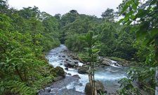 Costa Rica One Day Tour La Marta Wildlife Refuge