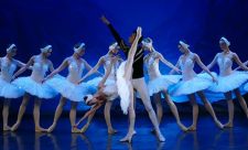 Swan Lake Ballet Costa Rica