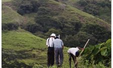 Costa Rica Labor Laws Agriculture Sector