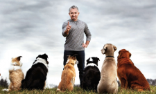 Dog Whisperer Costa Rica
