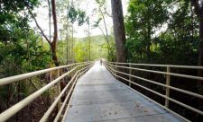 Manuel Antonio Trail