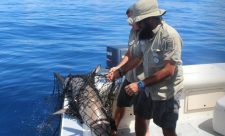 Illegal Fishing Isla del coco