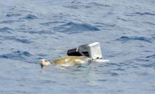 Turtle Entangled Trash