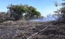 Costa Rica Wildfires