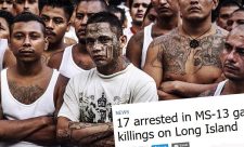MS-13 Gang