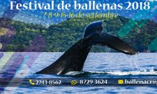 Costa Rica Whale Fest