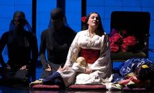 Costa Rica Madame Butterfly