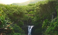 Hotels Monteverde Costa Rica