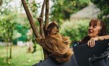 Sloths Costa Rica